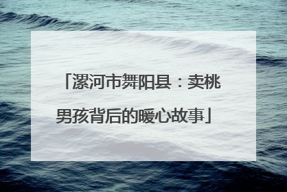 漯河市舞阳县：卖桃男孩背后的暖心故事