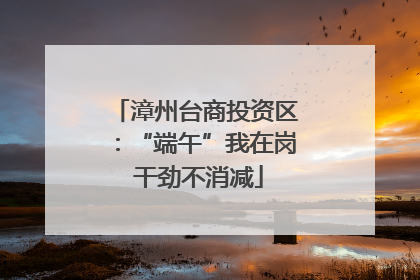 漳州台商投资区：“端午”我在岗 干劲不消减