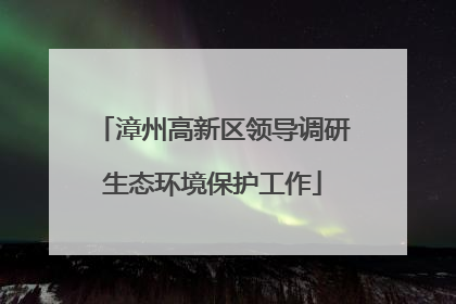 漳州高新区领导调研生态环境保护工作