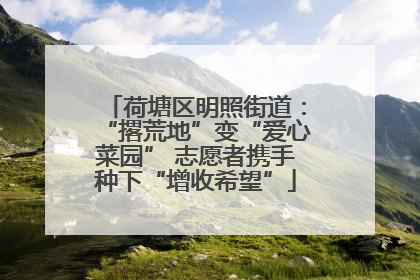 荷塘区明照街道：“撂荒地”变“爱心菜园” 志愿者携手种下“增收希望”