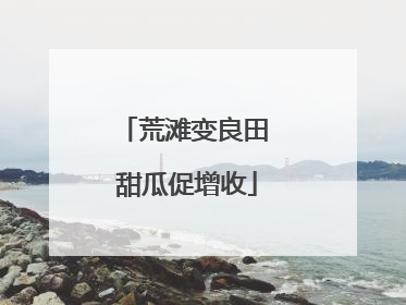 荒滩变良田 甜瓜促增收