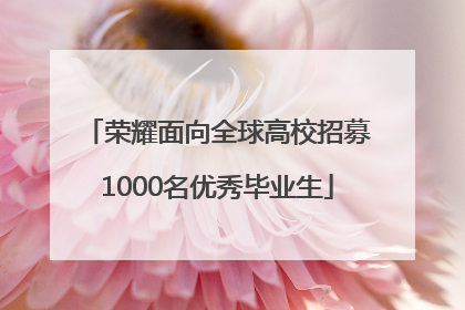 荣耀面向全球高校招募1000名优秀毕业生
