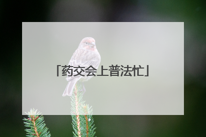 药交会上普法忙