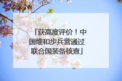 获高度评价！中国维和步兵营通过联合国装备核查
