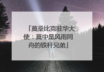 莫桑比克驻华大使：莫中是风雨同舟的铁杆兄弟