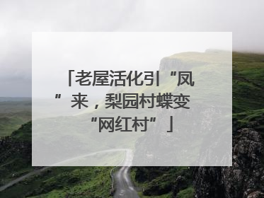老屋活化引“凤”来，梨园村蝶变“网红村”