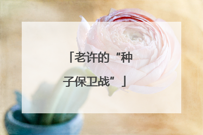 老许的“种子保卫战”