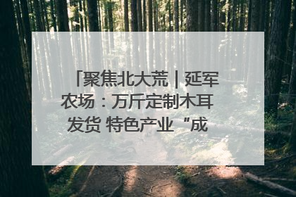 聚焦北大荒｜延军农场：万斤定制木耳发货 特色产业“成绩单”亮眼