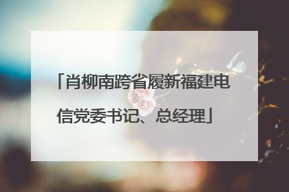 肖柳南跨省履新福建电信党委书记、总经理