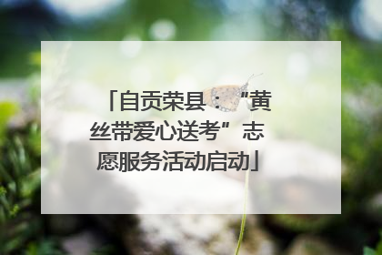 自贡荣县：“黄丝带爱心送考”志愿服务活动启动