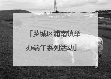 芗城区浦南镇举办端午系列活动