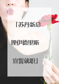 苏丹新总理伊德里斯宣誓就职