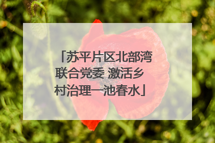 苏平片区北部湾联合党委 激活乡村治理一池春水