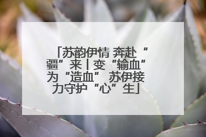 苏韵伊情 奔赴“疆”来丨变“输血”为“造血” 苏伊接力守护“心”生