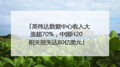 英伟达数据中心收入大涨超70%，中国H20相关损失达80亿美元