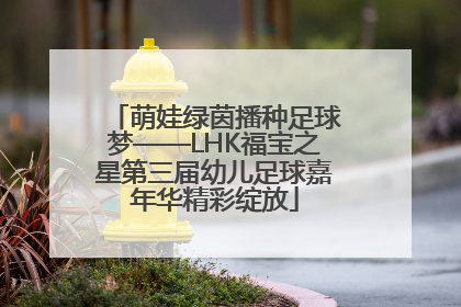 萌娃绿茵播种足球梦——LHK福宝之星第三届幼儿足球嘉年华精彩绽放