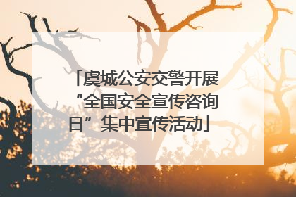 虞城公安交警开展“全国安全宣传咨询日”集中宣传活动
