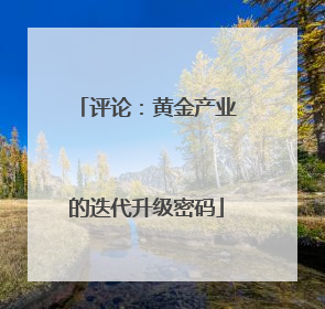 评论：黄金产业的迭代升级密码