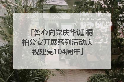 警心向党庆华诞 桐柏公安开展系列活动庆祝建党104周年