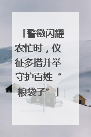 警徽闪耀农忙时，仪征多措并举守护百姓“粮袋子”