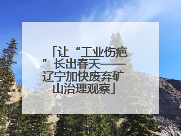 让“工业伤疤”长出春天——辽宁加快废弃矿山治理观察