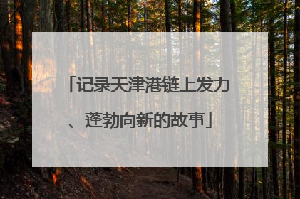 记录天津港链上发力、蓬勃向新的故事