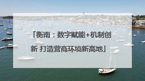 衡南：数字赋能+机制创新 打造营商环境新高地