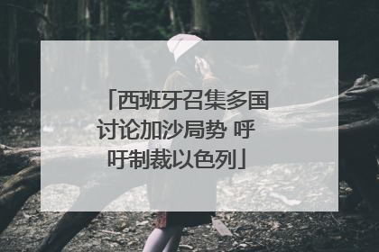 西班牙召集多国讨论加沙局势 呼吁制裁以色列