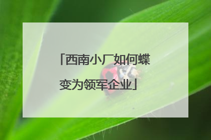 西南小厂如何蝶变为领军企业