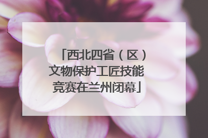 西北四省（区）文物保护工匠技能竞赛在兰州闭幕