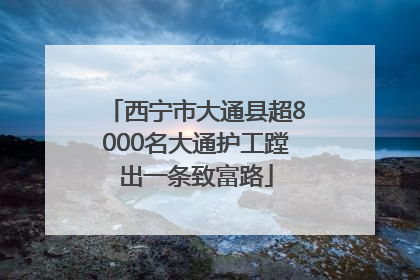 西宁市大通县超8000名大通护工蹚出一条致富路