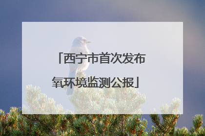 西宁市首次发布氧环境监测公报