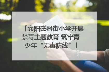 襄阳磁器街小学开展禁毒主题教育 筑牢青少年“无毒防线”