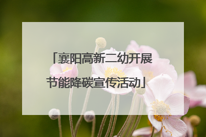 襄阳高新二幼开展节能降碳宣传活动