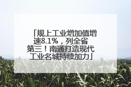 规上工业增加值增速8.1%，列全省第三！南通打造现代工业名城持续加力