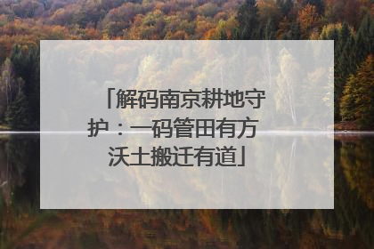 解码南京耕地守护：一码管田有方 沃土搬迁有道