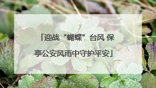 迎战“蝴蝶”台风 保亭公安风雨中守护平安