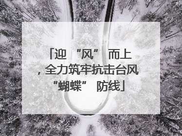 迎 “风” 而上，全力筑牢抗击台风 “蝴蝶” 防线
