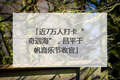 近7万人打卡“奇遇海”，昌平千帆音乐节收官