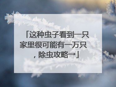 这种虫子看到一只家里很可能有一万只，除虫攻略→
