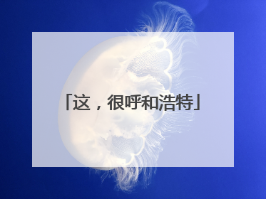 这，很呼和浩特