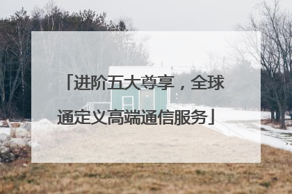 进阶五大尊享，全球通定义高端通信服务