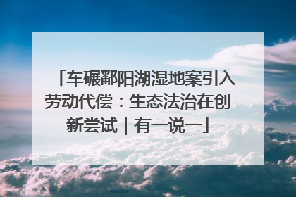 车碾鄱阳湖湿地案引入劳动代偿：生态法治在创新尝试｜有一说一