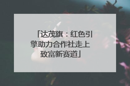 达茂旗：红色引擎助力合作社走上致富新赛道