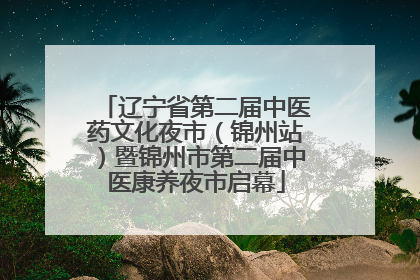 辽宁省第二届中医药文化夜市（锦州站）暨锦州市第二届中医康养夜市启幕