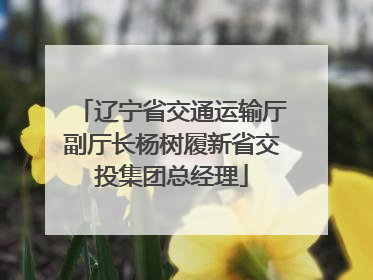 辽宁省交通运输厅副厅长杨树履新省交投集团总经理