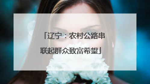 辽宁：农村公路串联起群众致富希望