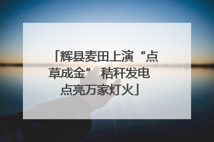 辉县麦田上演“点草成金” 秸秆发电点亮万家灯火