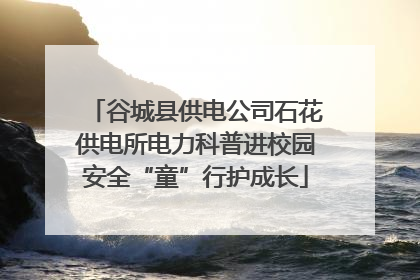 谷城县供电公司石花供电所电力科普进校园安全“童”行护成长