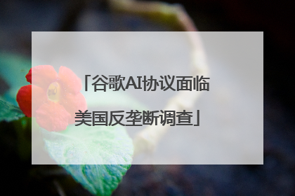 谷歌AI协议面临美国反垄断调查